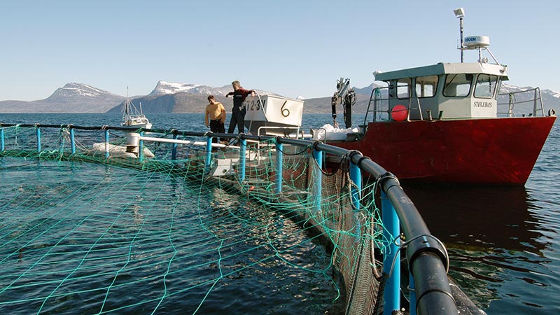 Fiskebåt ved merder