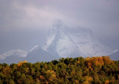 Stetind - Fjell i overskyet vær en høstdag med skog i forgrunn